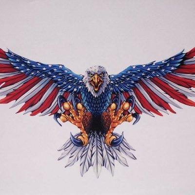 Vince4NC's profile picture. Former Democrat.
First Responder.
Educated Voter.