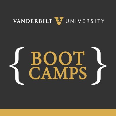 VUBootCamp Profile Picture