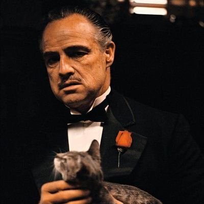 williamoyono's profile picture. Veiller.