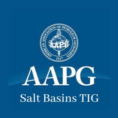 Salt Basins TIG (Technical Interest Group) Bringing diversity & inclusion to Salt Tectonics🧂👏🏼👏🏿👏🏻👏🏾 👏🏽.