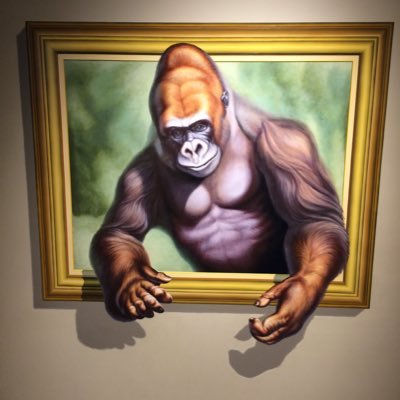 hizakozo62's profile picture. こんにちは