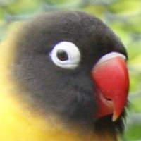 Dr. Kay Hammond (@kayhammond68) 's Twitter Profile