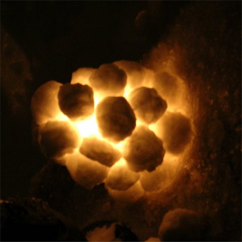 MYOK65's profile picture. CUI BONO? Without history you cannot understand present! "Truth is like a Lion. Let it loose and it will defend itself!"