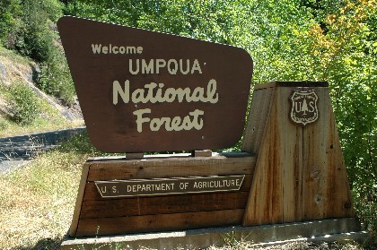 mountain biking the north umpqua trail
