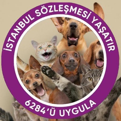 funduro_okan's profile picture. if u follow your dharma, you'll get good karma and you'll be born in a better varna