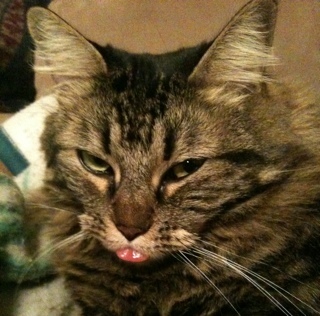 Divalockwood's profile picture. 