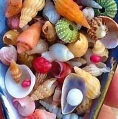 arifepulucna's profile picture. 