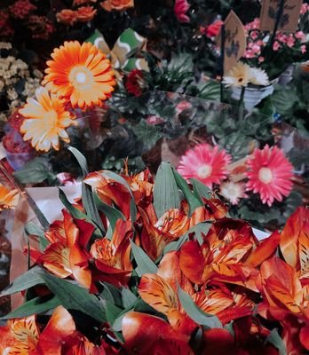 AbdulazizHaliru's profile picture. Muslim youth student