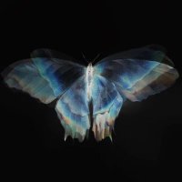🖤 (@44suns) 's Twitter Profile