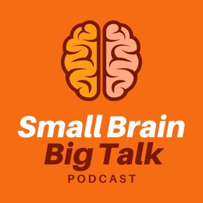 Listen to the Small Brain Big Talk Podcast were we answer life's least important questions with our very small brains.  Comedy | Infotainment