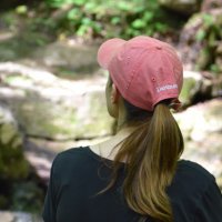Birds Birds Birds (@birdsbirdsbird7) 's Twitter Profile