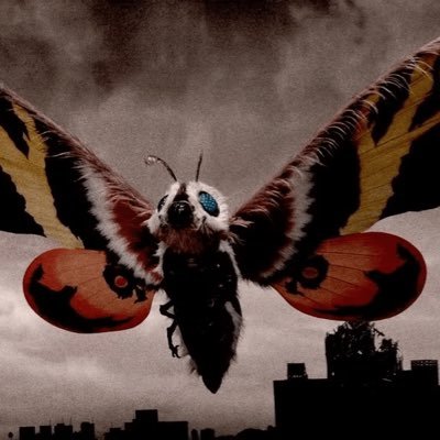 undoundoredo's profile picture. 