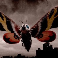 undo (@undoundoredo) 's Twitter Profile