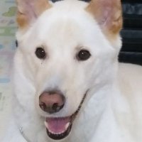 BJ Holiday (@schmoop0521) 's Twitter Profile Photo BJ Holiday (@schmoop0521) 's Twitter Profile Photo