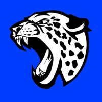 NWHS Seniors (@nwhs2021) 's Twitter Profile