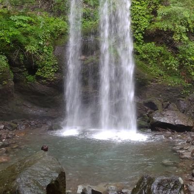 perfuming's profile picture. 