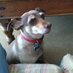 Grace Dunlop E. (@gracedunlop1) Twitter profile photo Grace Dunlop E. (@gracedunlop1) Twitter profile photo