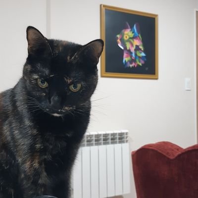 Leproso hasta la médula. Equivocarse es válido, evolucionar obligatorio. Juana es mi gatita y yo pinto. Cuando piente pinto.