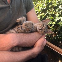 Harold Finch (@freemind34) 's Twitter Profile