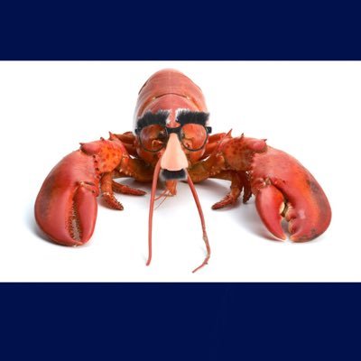 AnonymousLobsterさんのプロフィール画像