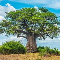Northern Heritage 🇬🇭 (@northernghana) 's Twitter Profile Photo Northern Heritage 🇬🇭 (@northernghana) 's Twitter Profile Photo