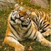 Ki.Satir.89 (@89satir) Twitter profile photo Ki.Satir.89 (@89satir) Twitter profile photo
