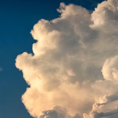 通勤のお供に小説を。本好き。読書好きと繋がりたい。読書メーター登録済。ライト文芸、ライトノベル、マンガ。たまにアニメ。オンラインゲーマーのため最近は更新がまちまち。ほぼ読書垢。喘息、腰痛もち。女性です。