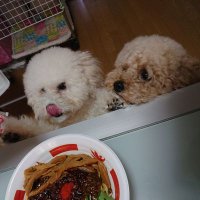 king♪ (@ts2719060208) Twitter profile photo