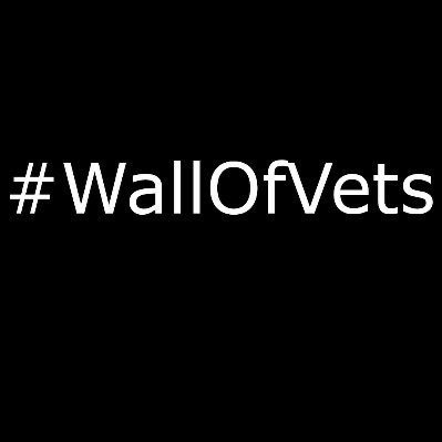 Any federal agents “surging” to our city without the  permission of Mayor Adler will be greeted by us. Those in battle rattle will be mocked first. #wallofvets