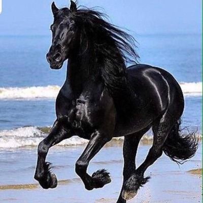 UrRCzun8zIapWQ9's profile picture. 