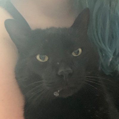 awalderich's profile picture. Creative, intelligent, independent, witty, loyal, hard working, bad ass single mom not afraid to tell it like it is.