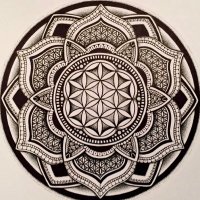 BrainObeysTheHeart (@truth_trees) 's Twitter Profile