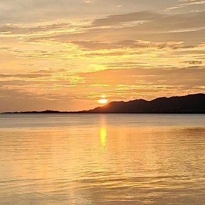 AiTokyoJP's profile picture. （2025/9〜）AI関連の話題などを呟いて行きます。