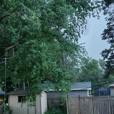 timetorise34's profile picture. BORN TO Rulé