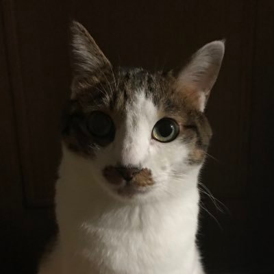 にゃかさんのプロフィール画像