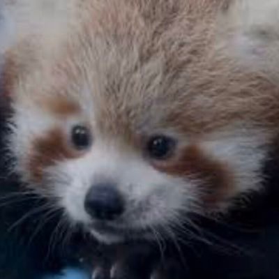 fiber2426's profile picture. Mhm