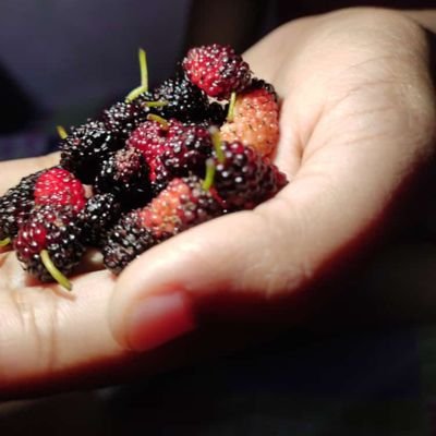 No__Name__69__'s profile picture. 