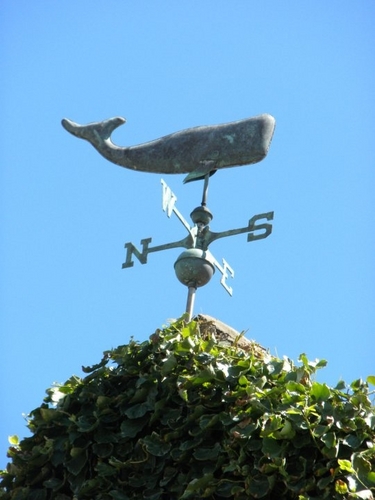 aussak's profile picture. tous ceux qui errent ne sont pas perdus: notes from adventures around the world and my kitchen