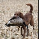 Zane Wesley Tidwell - @Zane_W_Tidwell - Twitter