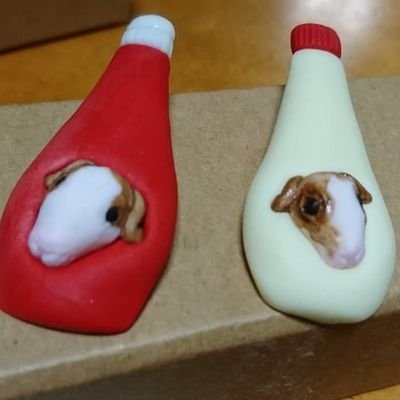 うさもるmimmyときどき保護活動さんのプロフィール画像