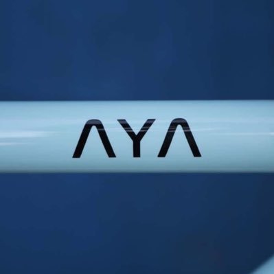 Custom Handmade Bicycle in Japan→Ayabikes Builder＆Racer