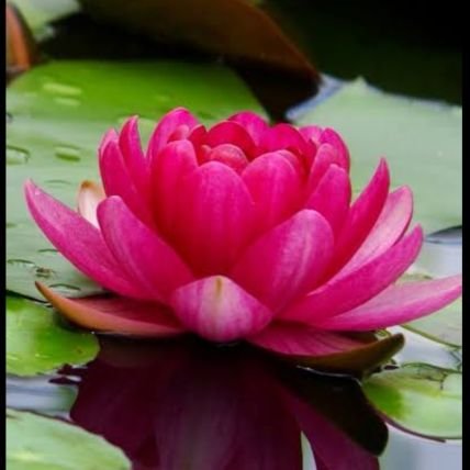 SUSHILK43922509's profile picture. Office Superintendent Mechanical department / ER /Malda other wise Branch Secretary/ERMU/MLDT