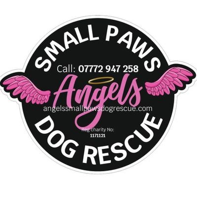 Angels Small Paws dog rescue  (East Midlands) is a non profit dog rescue in the Midlands area of the UK. All dogs are fostered and assessed in volunteers homes.