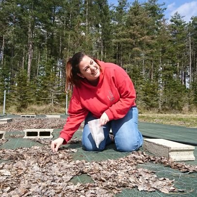 AgatheHurel's profile picture. Postdoc at BFW 🌳🌱🪵