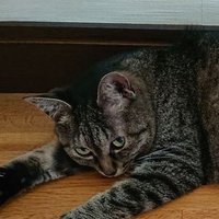 GL (@gl_gfdm) 's Twitter Profile