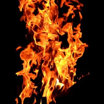 Rakshit43236272's profile picture. 