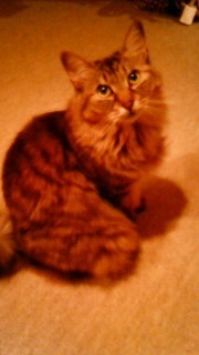 chapi0505's profile picture. 