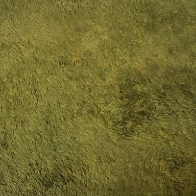 BerlinHSSports Profile Picture