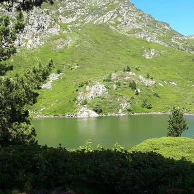 l'occitanie pour toujours !!! ❤❤❤