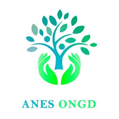 À Nous l'Environnement Sain veut l'information, la formation et la transformation de l'homme pour un environnement sain et propice.